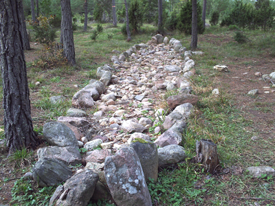 Могила древнего готландца, бережно охраняемая местными жителями. 
