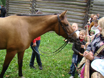Гости праздника приносили с собой яблоки, хлеб и даже капусту, чтобы угостить лошадок.